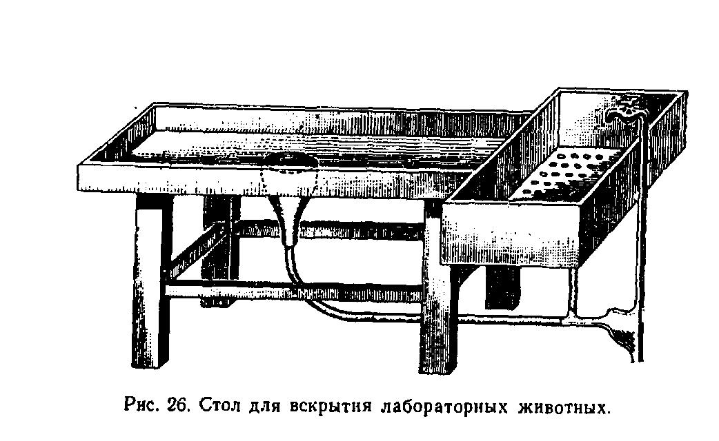 Секционный зал для вскрытия животных